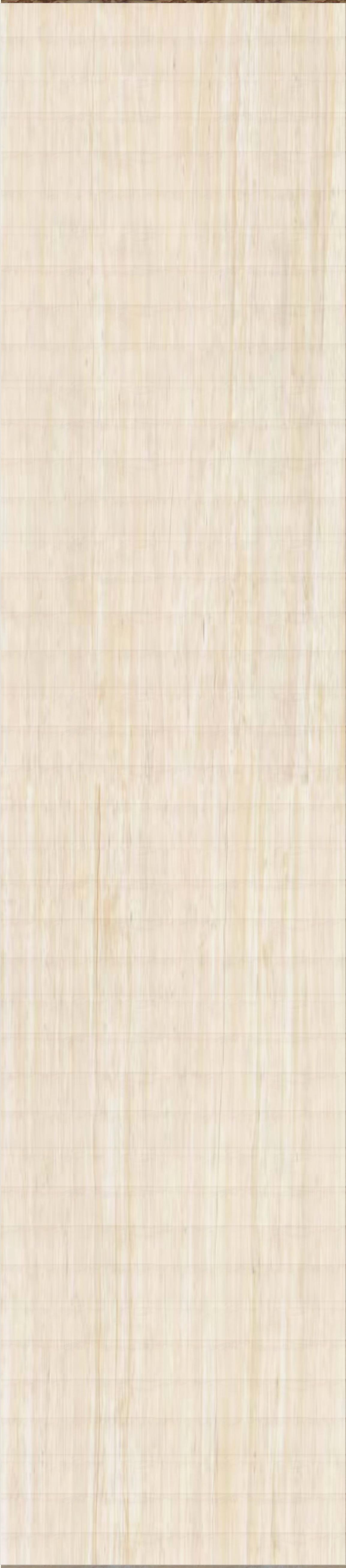 Easton won Division Jr Bull Champion