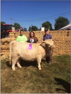 Lux Grand Champion Female NW Washington Fair 