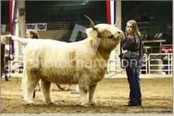 2018 National Western Stock Show